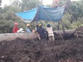 IMG-20181215-WA0009
